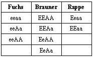 Diagnostik Pferd: Fellfarbe - Vergleich Fuchs/Brauner/Rappe