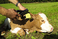 Xenofix System